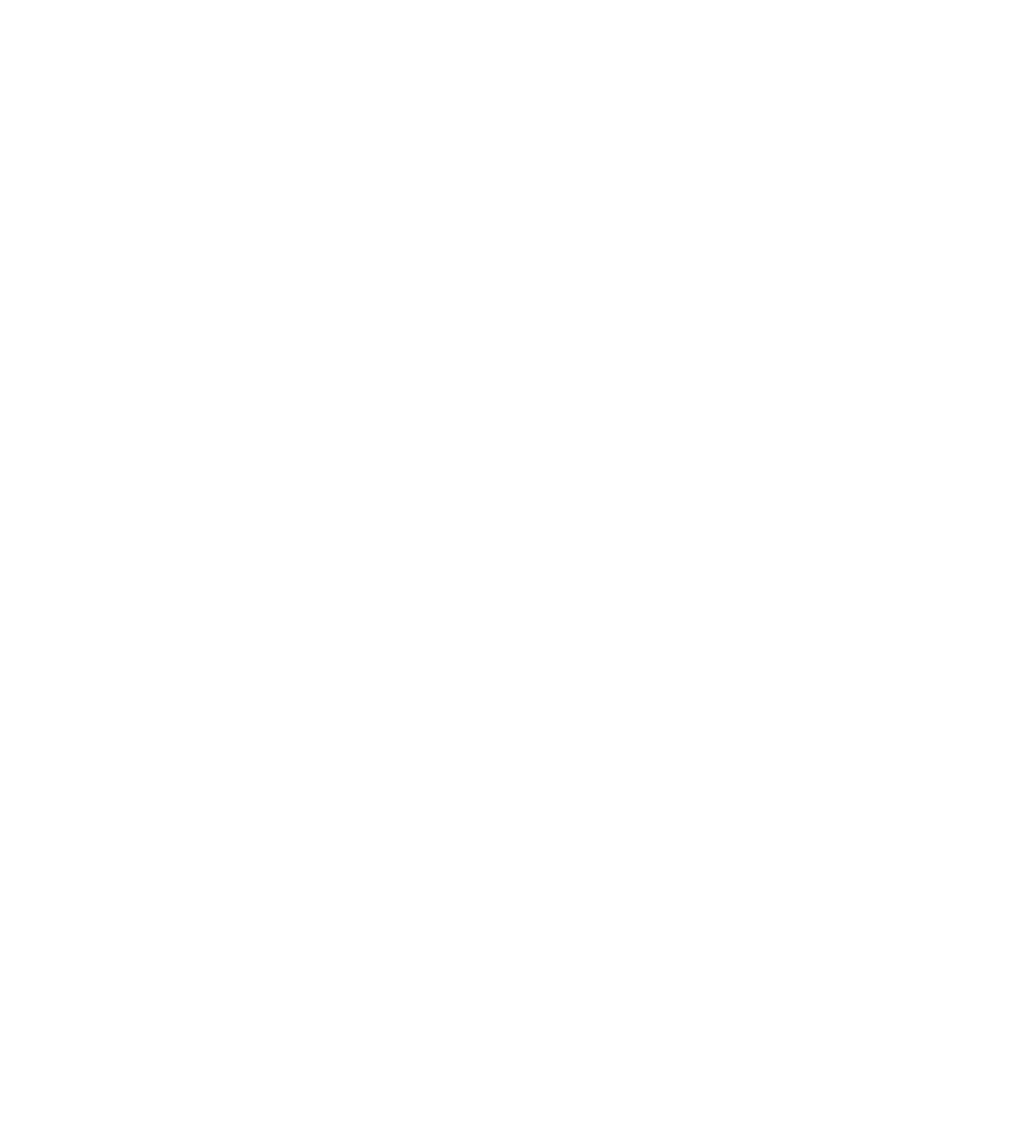 Dire Wolf Performance Logo